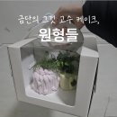 을지로 놀거리 l 특이한 케이크가 있는 카페, 원형들 l 딜케이크, 고수케이크 포장 후기