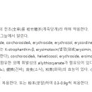 울릉도꼬마김밥 이미지