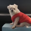 멍언니 쌀롱 이미지