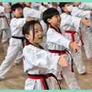 경희대 석사 신동태권도 이미지