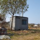 올리농장 이미지