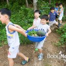창3동어린이집 이미지