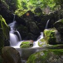 연신내역3번출구앞 범서쇼핑 이미지