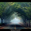 일동수목원 이미지