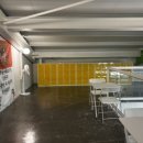 크로스핏엘리펀트 이미지