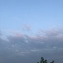 좋은날고기