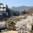 온누리 펜션 이미지