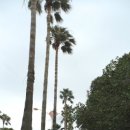 천제연폭포 관광안내소 이미지