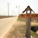 아르고통나무펜션 이미지