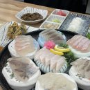 증평수족관 | 증평 다도횟집 푸짐한 스끼 한상 신선한 회 내돈내산 후기