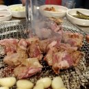 황소고집 이미지