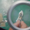 스텔라영