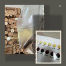 챨스하우스 | [슬기로울 와인생활 13] Charles Heidsieck Brut Réserve