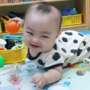 사랑의어린이집 | 모현동 사랑으로 어린이집 만족 이용 후기