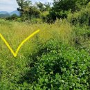 산서농장 이미지