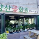 양산꽃화원