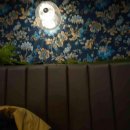 버스정류장 05-109 이미지