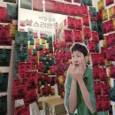[소소한] 성수 나들이 (유토피아:노웨어,나우히어 / 메릴러번 / 봄의 정원 / TTRS / 어니언 / 이창섭의...