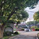 왕대골마을 이미지