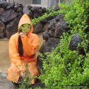 해일월 | 제주도 함덕 / 밤늦게 제주에 도착해 함덕 다몰펜션에서 쉬기! 작지만 있을 건 다 있는 숙소ㅎㅎ...