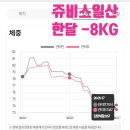 식사동헬스장 대신 선택한 다이어트 쥬비스일산점 한 달 만에 -8kg 감량 후기 (복부 -6cm)
