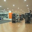 스파젠 네이버블로그