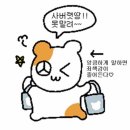 내돈내산 웨이마크 후기 | 번아웃과 커리어 고민 중 받아본 직업적성 리포트