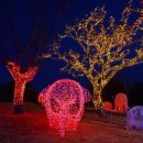 돌산공원 (입구) 이미지