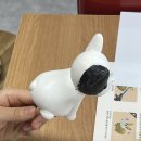 대전소품샵 강아지 고양이 소품이 많은 편집510&amp;뮤앤바우 컬러링후기