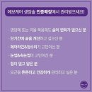헤이제이네일