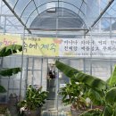 그린농원 이미지