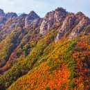 단풍 - 관악구 신림동길 25 | 단풍