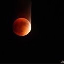 달(moon)