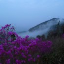 땅끝 남도의 향기 이미지