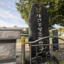 대전중앙초등학교 Daum카페