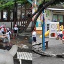 선진유치원 이미지