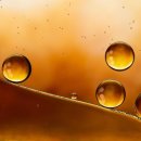 미라클스위트하우스 이미지