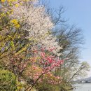 라이프펜션 이미지