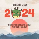 손흥민 2024년 첫골! 리그 12호골! 이미지