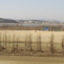 (주)오천주유소 Daum카페