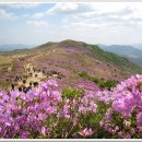 천안상업고등학교 이미지