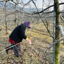 애경농장 이미지