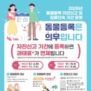 우리집 강아지 충북일보