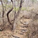 시종시장 | [공지] 전남 장흥 억불산 2 (정남진 편백숲 우드랜드)