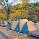 당항포관광지 오토캠핑장 이미지