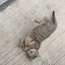 귀빈모텔 이미지