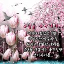 의료법인 영신의료재단 이미지