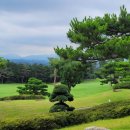 솔모로골프장 이미지