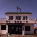 평화동복지회관 | 제주 수제버거 맛집 : 양가형제 후기