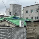 머물구자 이미지